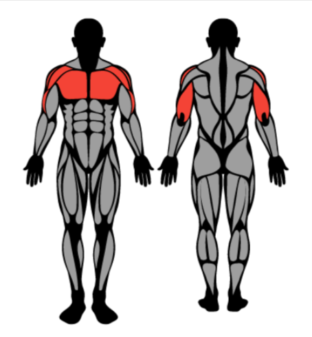 4-Day Workout Routine