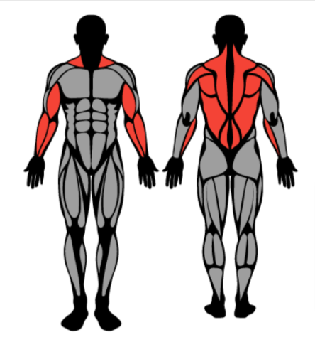 4-Day Workout Routine