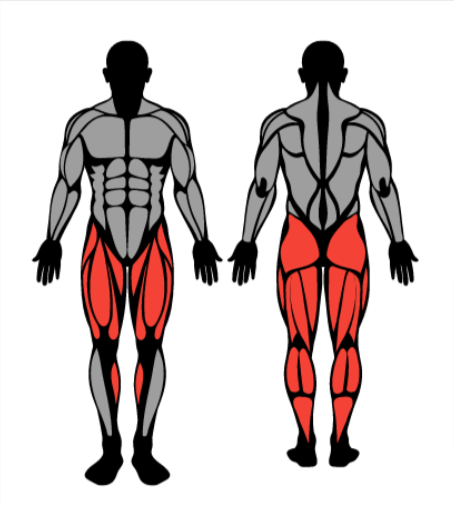 4-Day Workout Routine